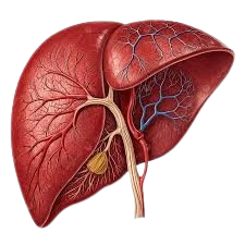 Best liver surgeon in Surat Dr Keyur Bhatt